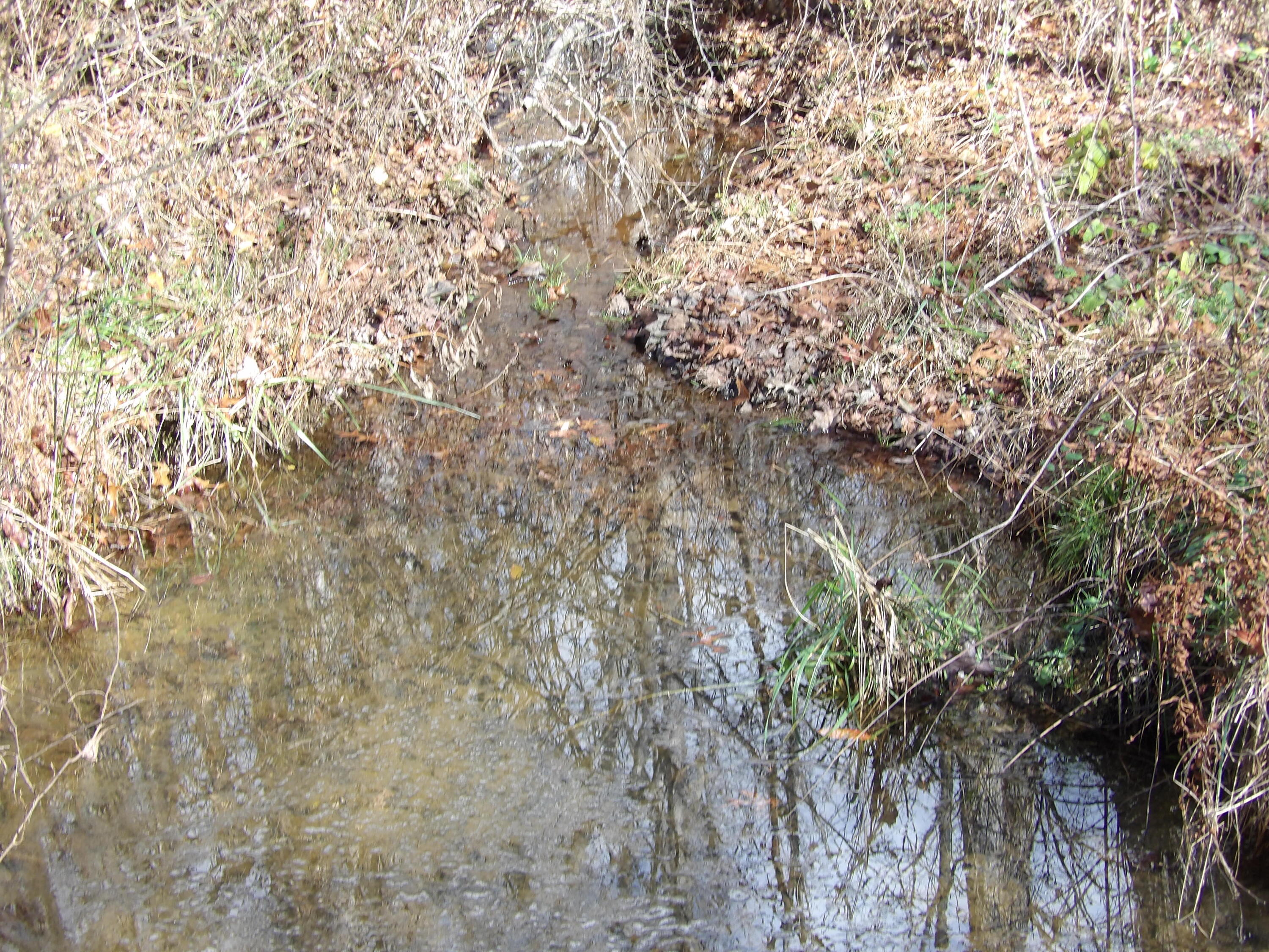 340 Randell Harris Road Pikeville, TN 37367 - Photo 2 of 36 100_2100