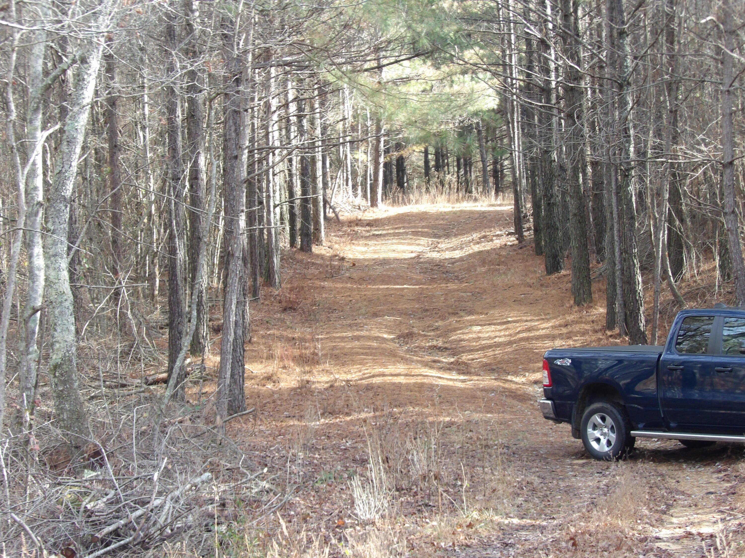 340 Randell Harris Road Pikeville, TN 37367 - Photo 23 of 36 100_2156 - Copy