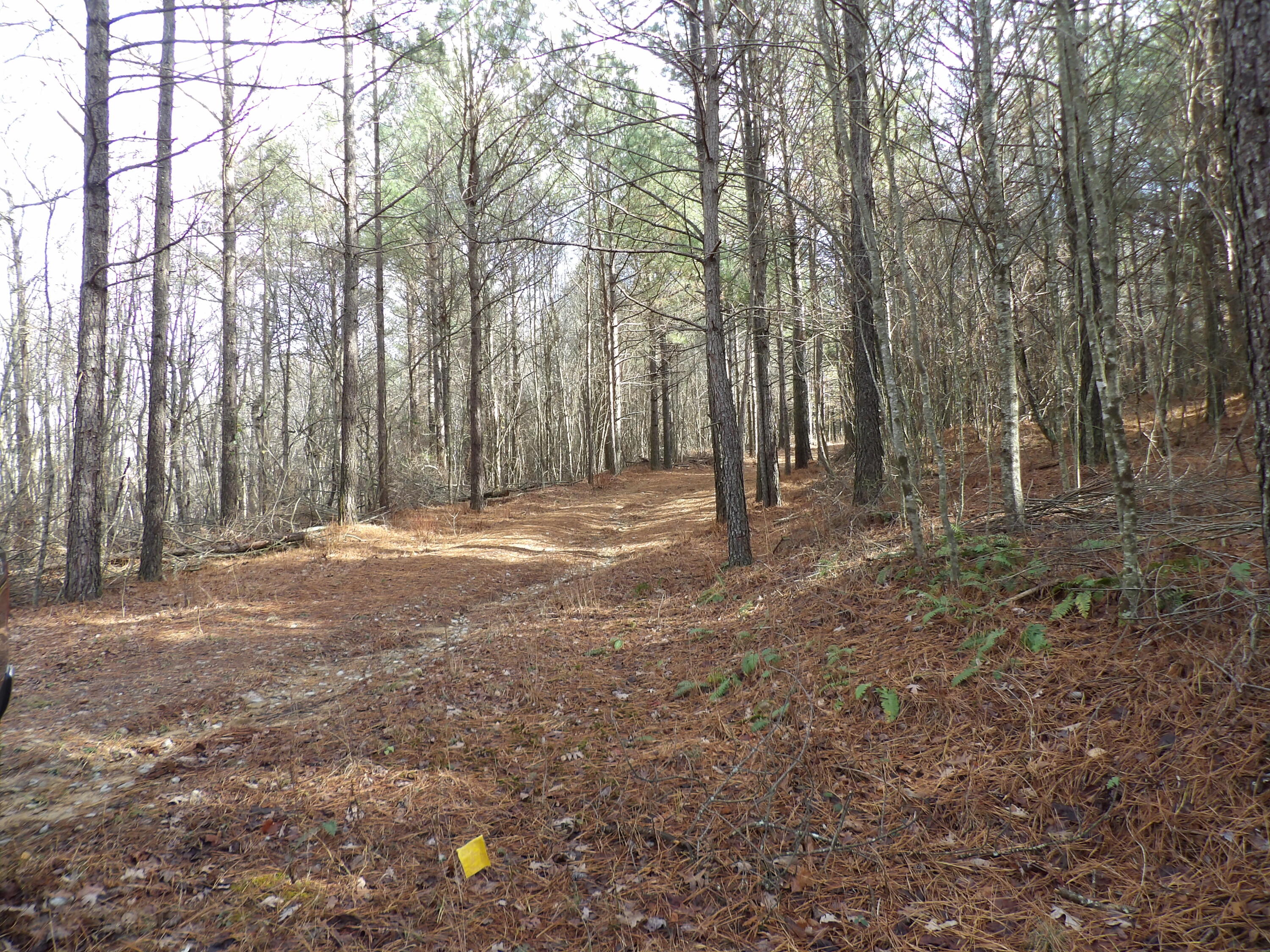 340 Randell Harris Road Pikeville, TN 37367 - Photo 26 of 36 100_2159 - Copy