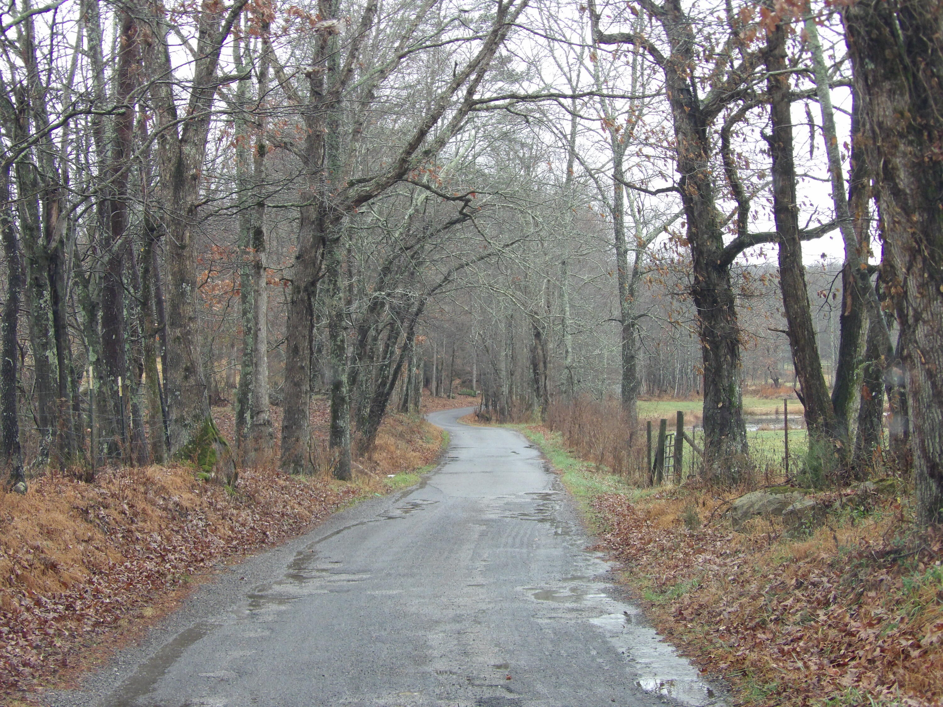 340 Randell Harris Road Pikeville, TN 37367 - Photo 3 of 36 100_2135 - Copy - Copy