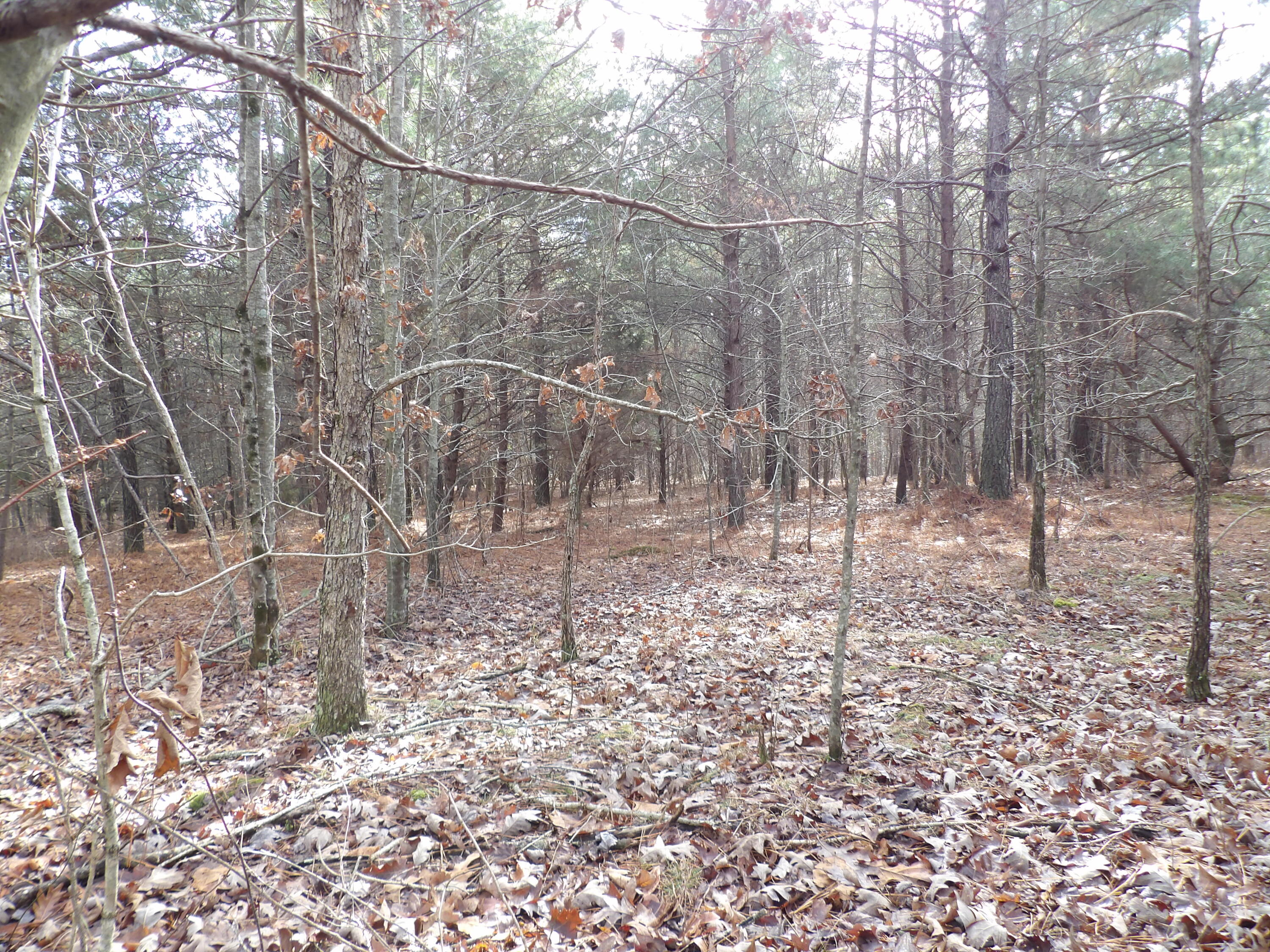 340 Randell Harris Road Pikeville, TN 37367 - Photo 32 of 36 100_2165