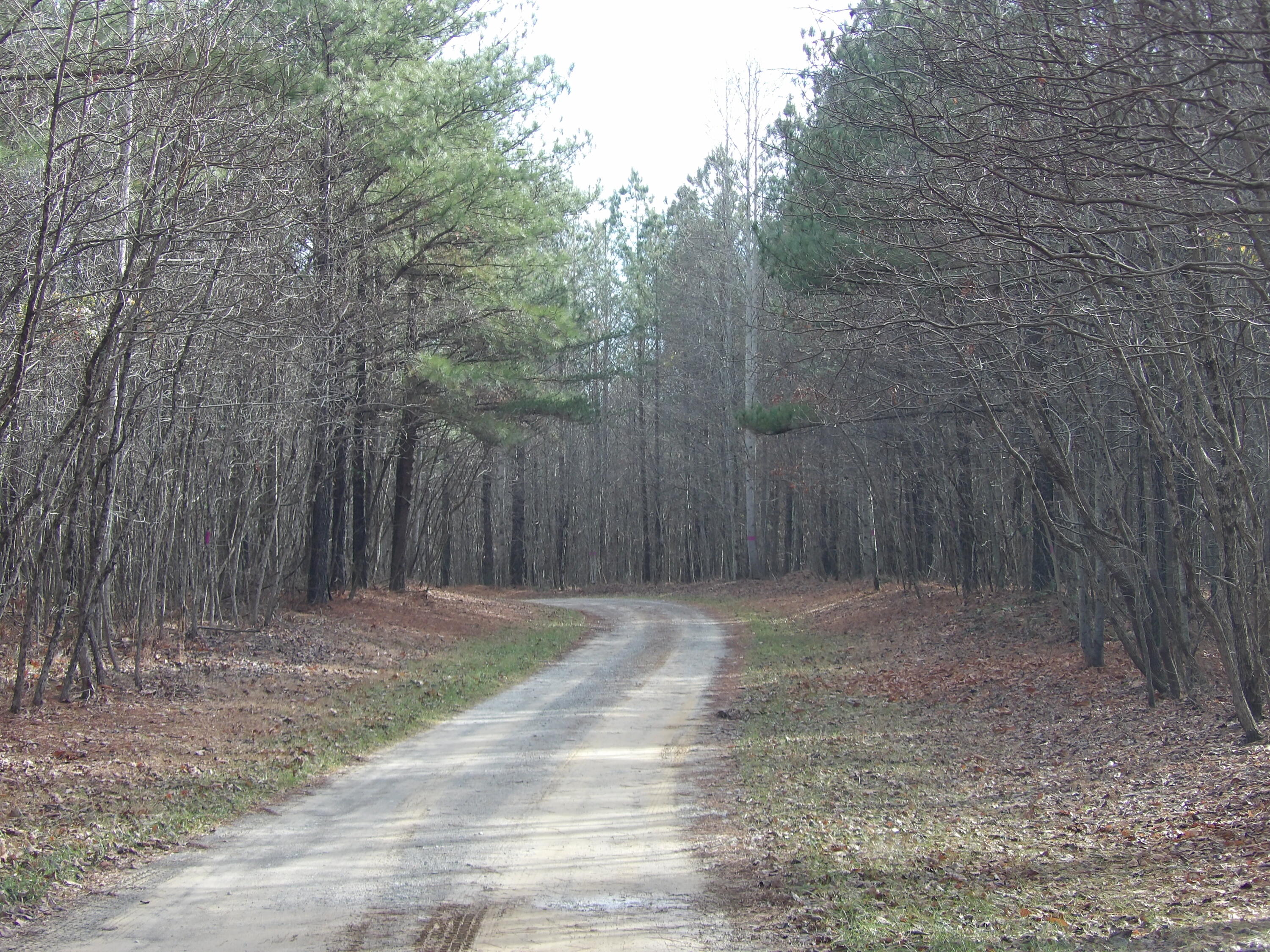 340 Randell Harris Road Pikeville, TN 37367 - Photo 34 of 36 100_2167