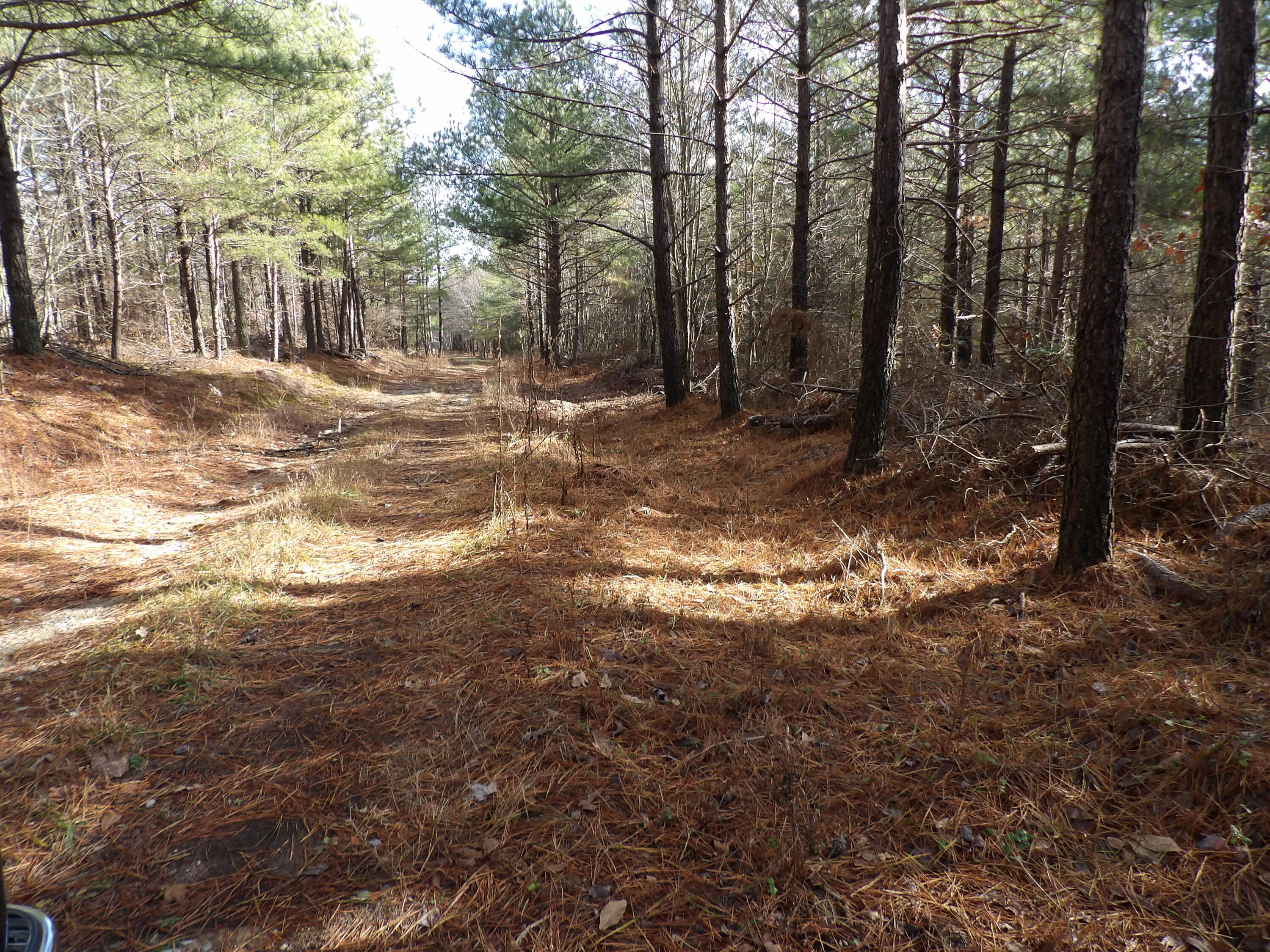 340 Randell Harris Road Pikeville, TN 37367 - Photo 4 of 36 100_2136 - Copy - Copy