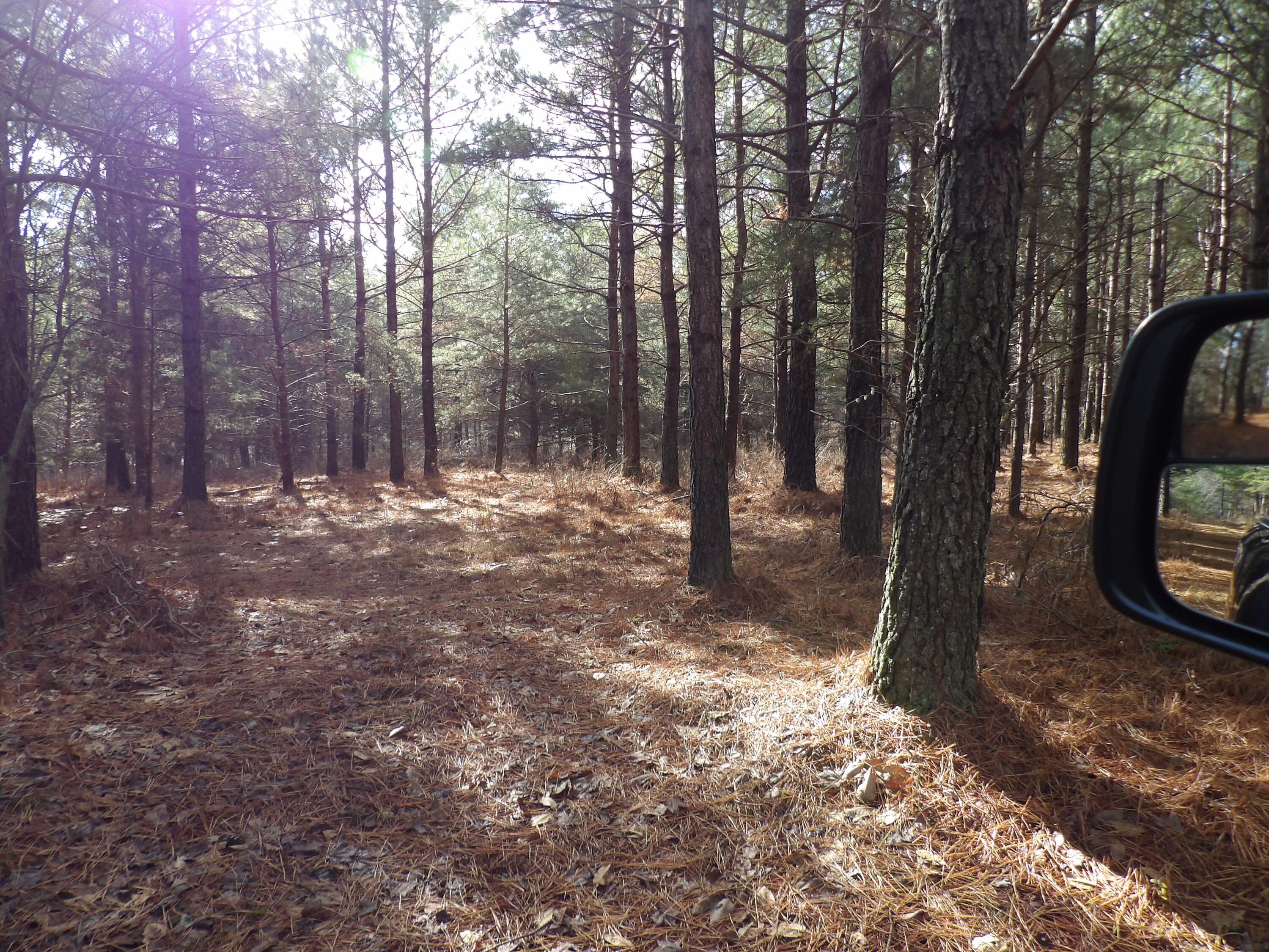 340 Randell Harris Road Pikeville, TN 37367 - Photo 10 of 36 100_2141 - Copy - Copy