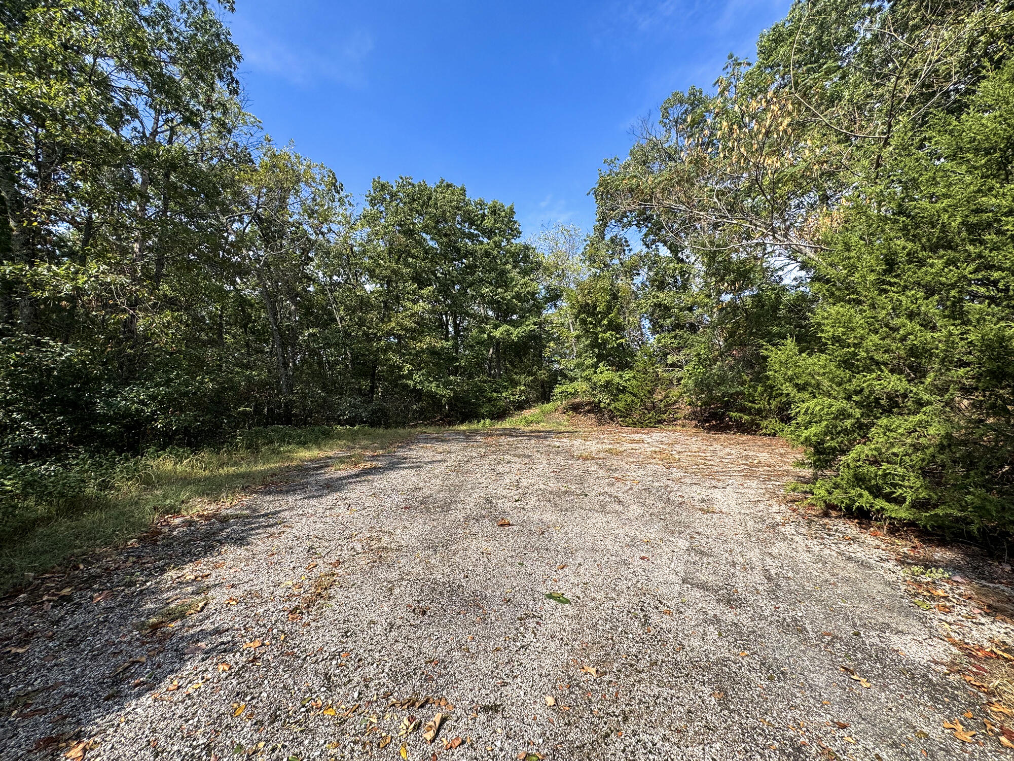 88 Lazarus Road Reeds Spring, MO 65737 - Photo 14 of 16 Cul-de-sac