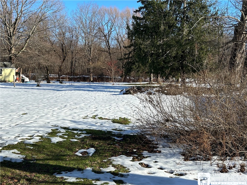 5 Pearl Street Hanover, NY 14062 - Photo 6 of 7