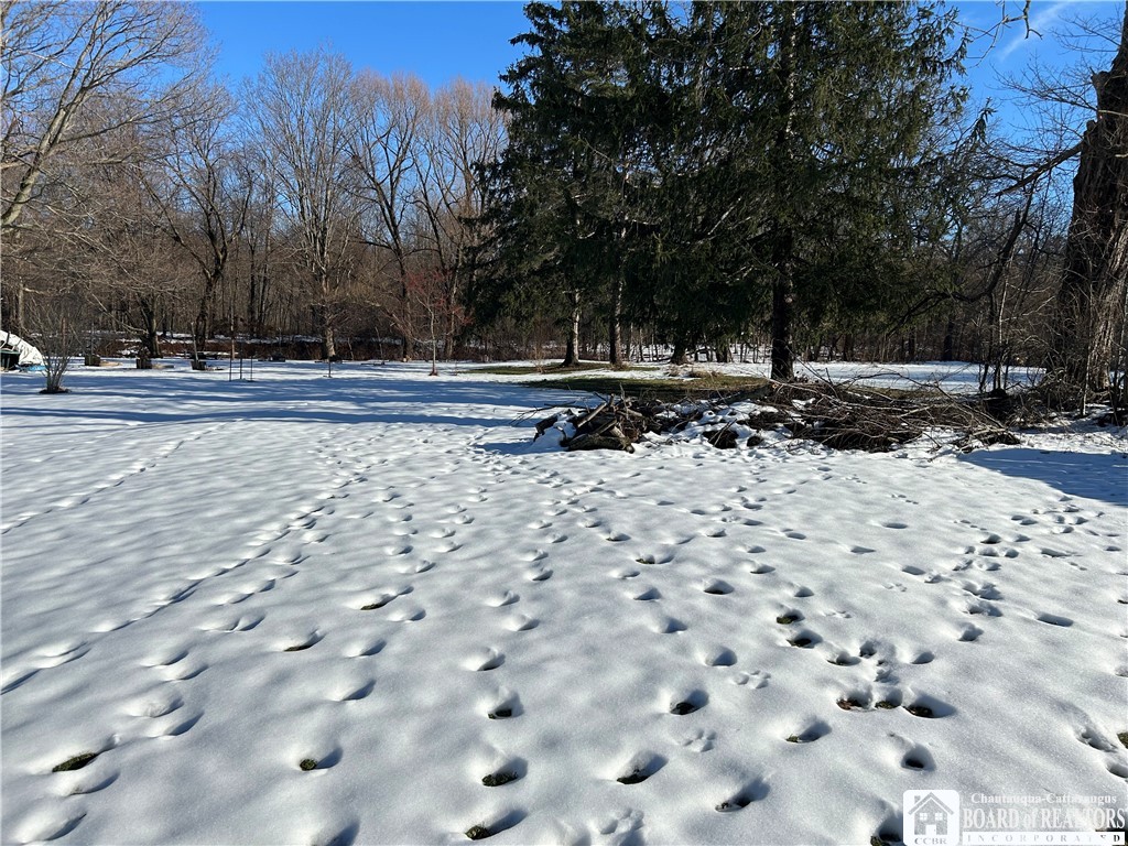 5 Pearl Street Hanover, NY 14062 - Photo 7 of 7