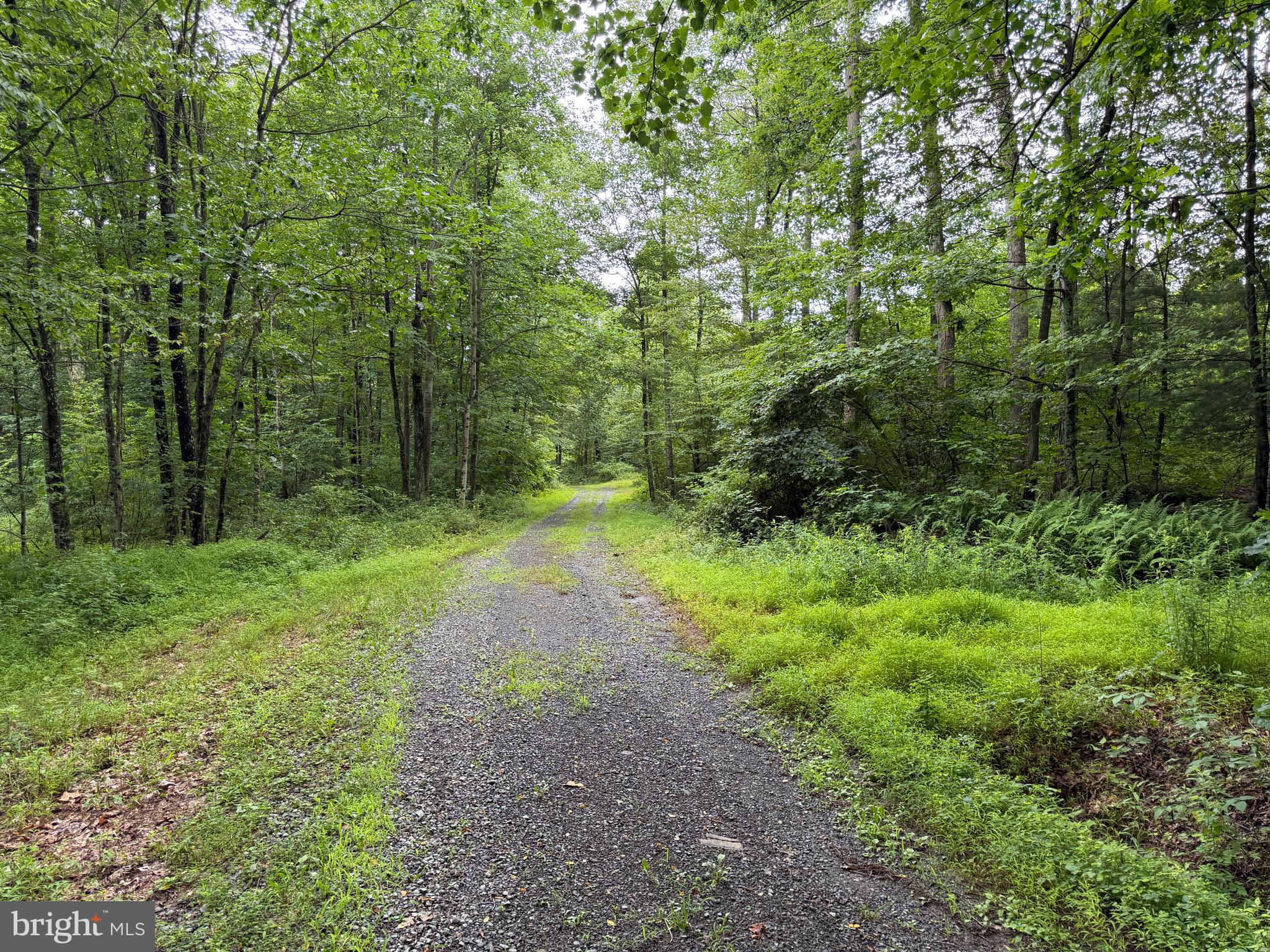 17147 Sugar Run Road Shirleysburg, PA 17260 - Photo 138 of 148