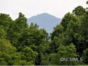 208 Brooks Cove Road Candler, NC 28715 - Photo 2 of 24 Gallery Image 2