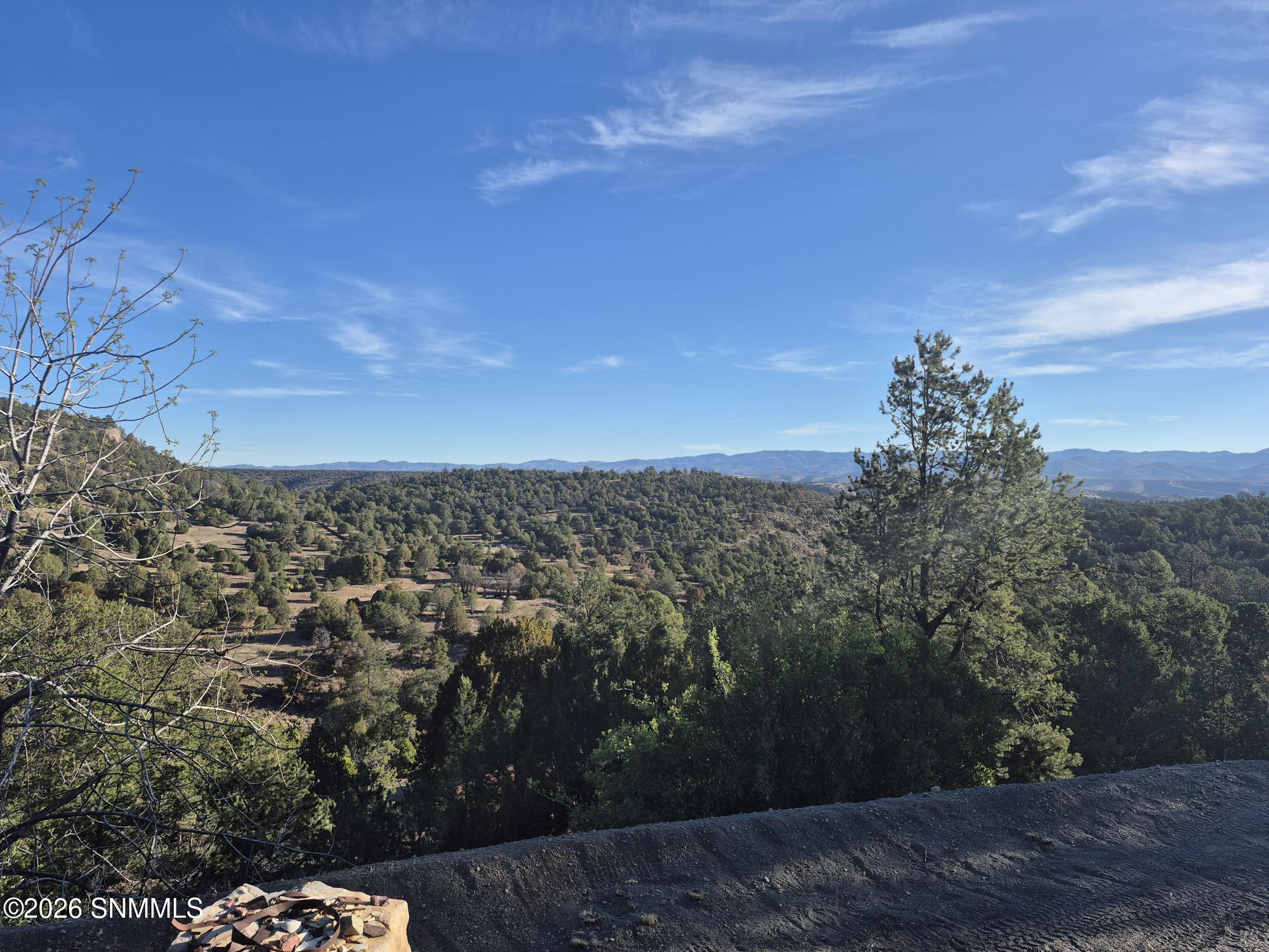 104 Georgetown Road Hanover, NM 88041 - Photo 16 of 90 view
