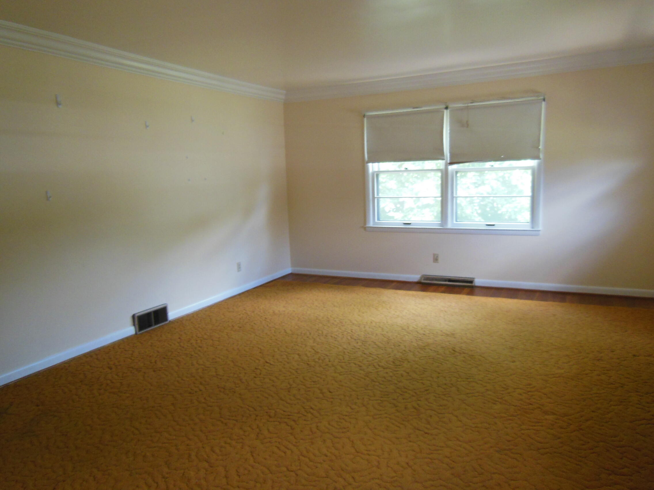 1204 Tates Creek Road Lexington, KY 40502 - Photo 18 of 22 DSCN0120