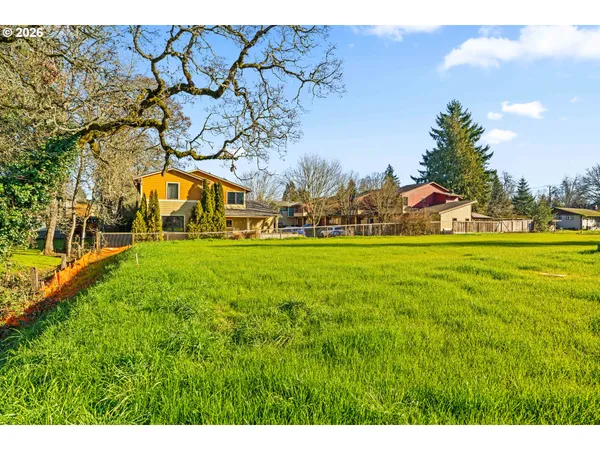 a view of yard with tree in the background