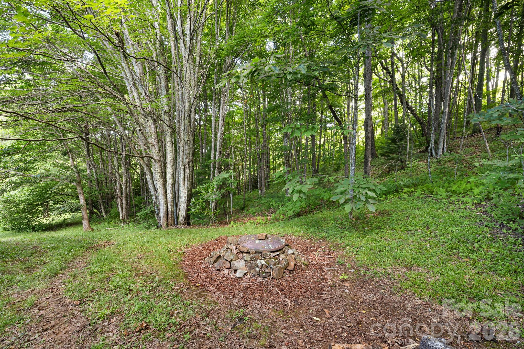 299 Basswood Road Hot Springs, NC 28743 - Photo 36 of 47
