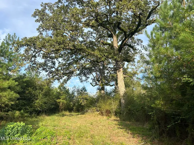 $82,500 | Tbd North Tbd N River Rd Summit, Summit, MS 39666