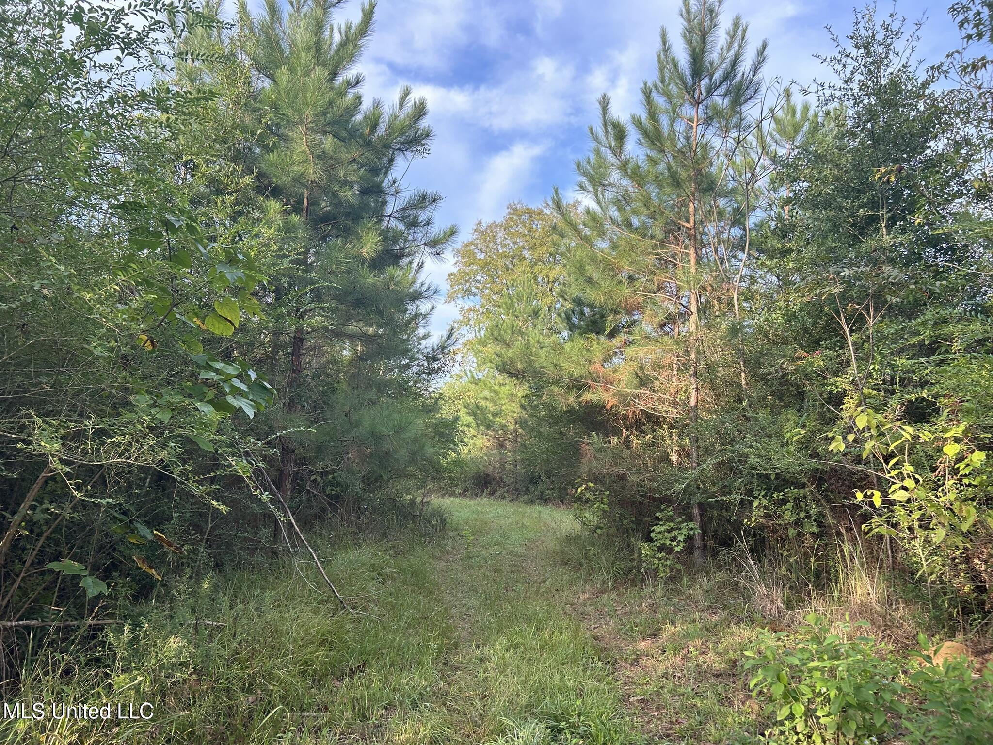Tbd North Tbd N River Rd Summit Summit, MS 39666 - Photo 5 of 15 B579D32D-DB00-41E9-AB74-BF31FD45038C_1_1