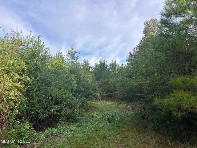 $82,500 | Tbd North Tbd N River Rd Summit, Summit, MS 39666