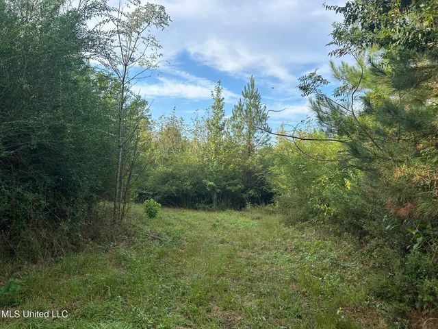 $82,500 | Tbd North Tbd N River Rd Summit, Summit, MS 39666