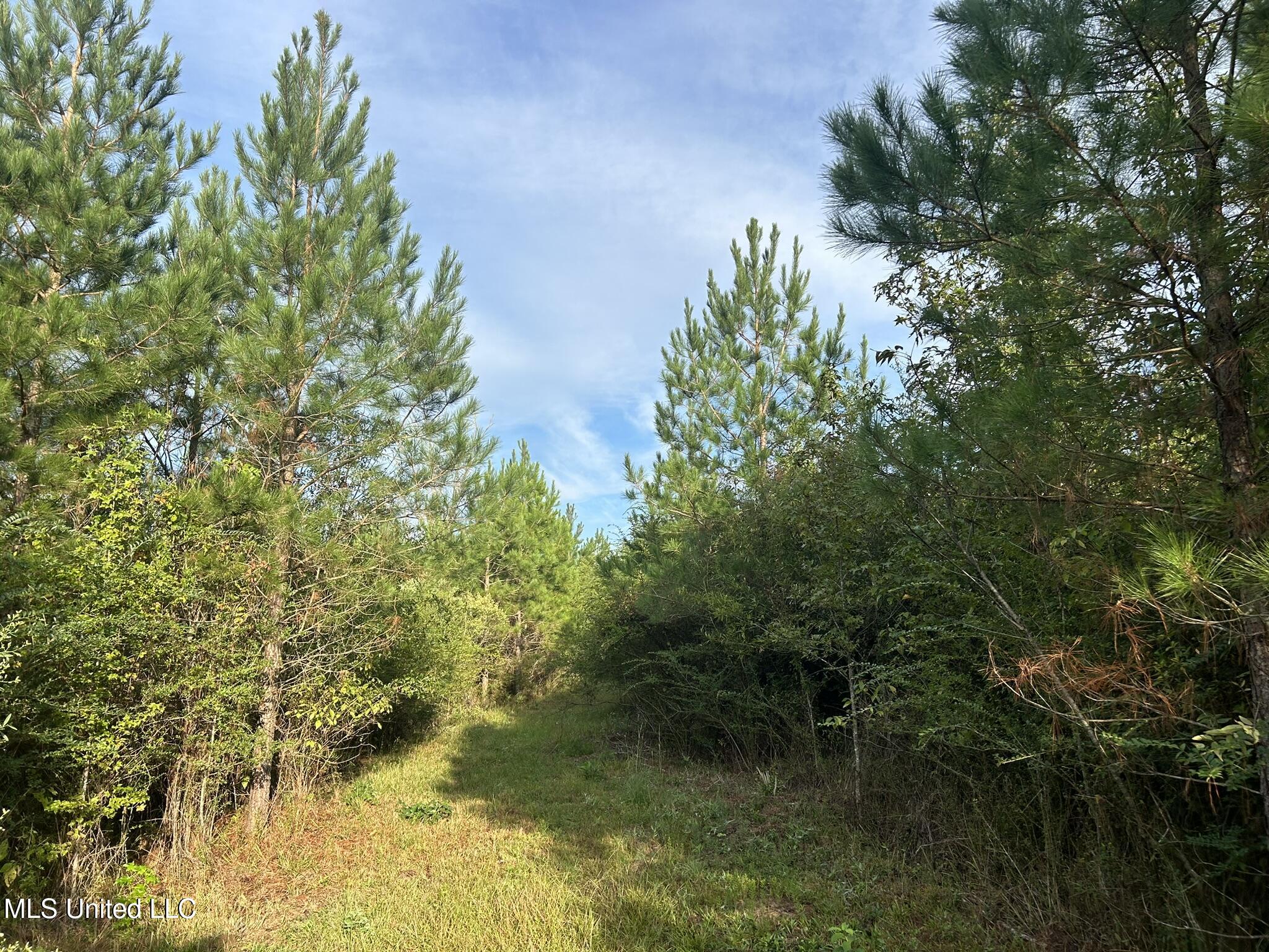 Tbd North Tbd N River Rd Summit Summit, MS 39666 - Photo 8 of 15 2FB7679C-5A87-492D-B33B-7895E0BC3F41_1_1