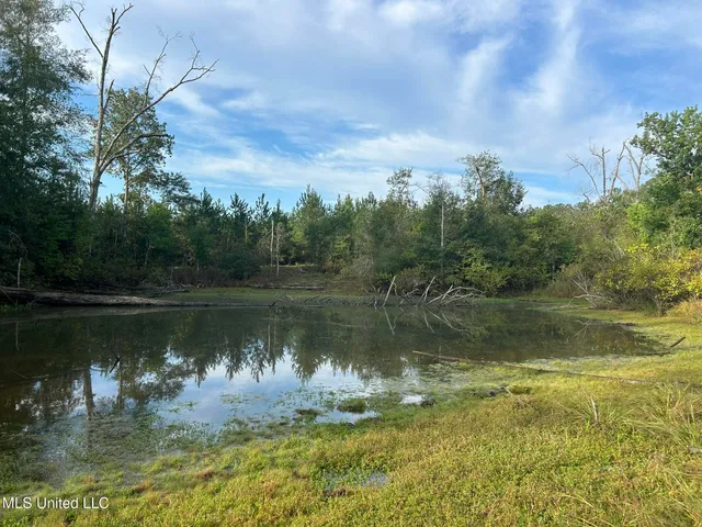 $82,500 | Tbd North Tbd N River Rd Summit, Summit, MS 39666