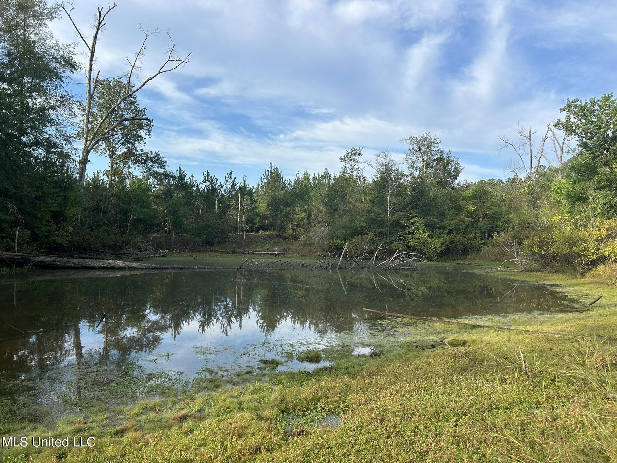 Tbd North Tbd N River Rd Summit Summit, MS 39666 - Photo 9 of 15 11043263-7200-49EF-A191-C63A133BA69F_1_1