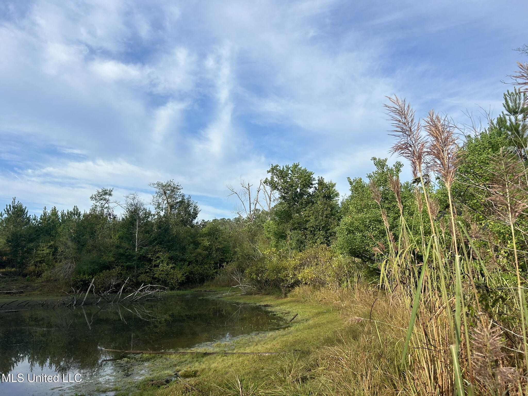 Tbd North Tbd N River Rd Summit Summit, MS 39666 - Photo 10 of 15 B764B085-E9E4-49DB-B463-6CB7EACEF264_1_1
