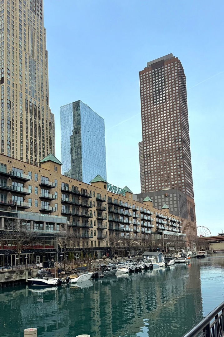 480 North McClurg Court, Unit 520 Chicago, IL 60611 - Photo 30 of 31