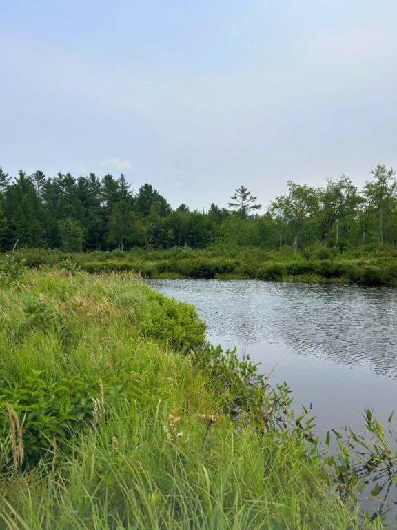 Lot 2 Kingfield Road New Vineyard, ME 04956 - Photo 11 of 20 IMG_6791