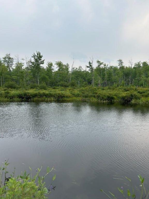 Lot 2 Kingfield Road New Vineyard, ME 04956 - Photo 12 of 20 IMG_6792