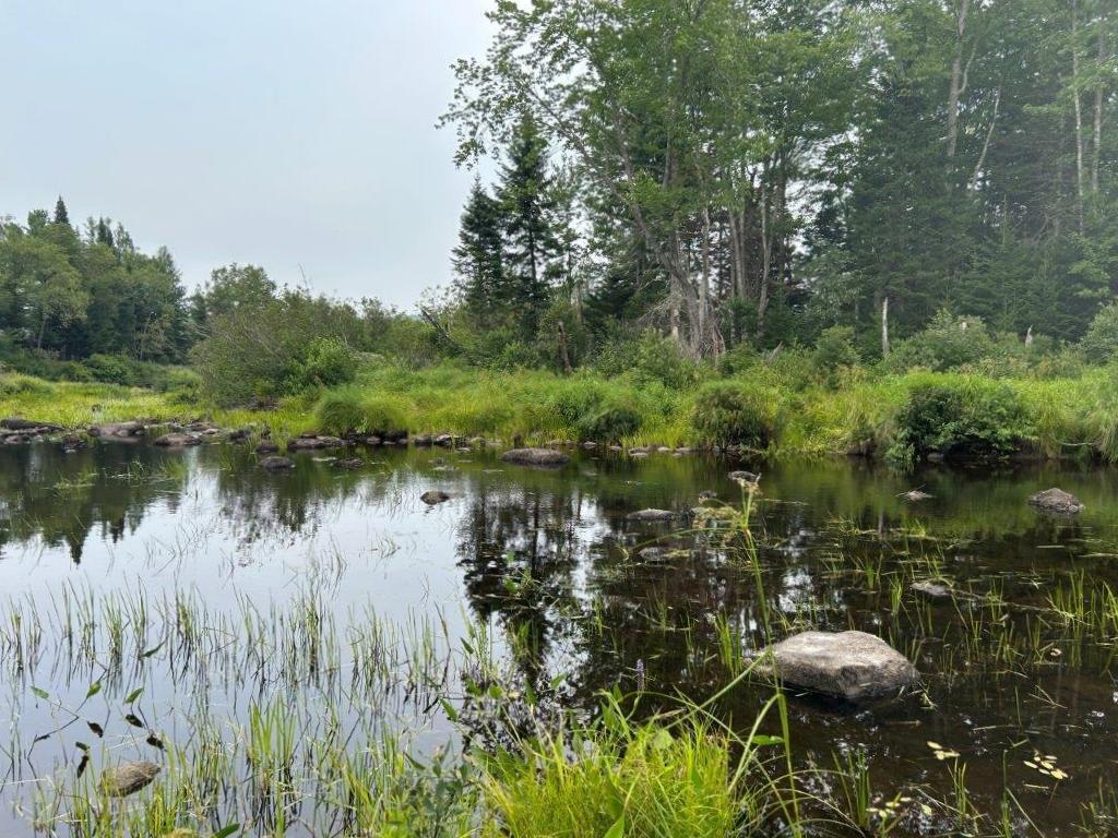 Lot 2 Kingfield Road New Vineyard, ME 04956 - Photo 14 of 20 IMG_6801