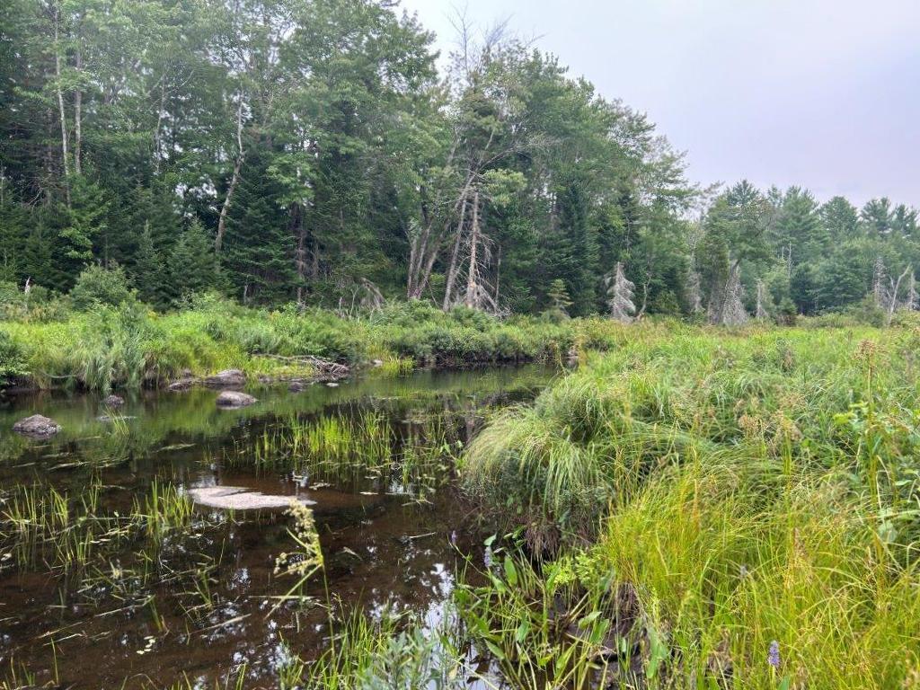Lot 2 Kingfield Road New Vineyard, ME 04956 - Photo 15 of 20 IMG_6802
