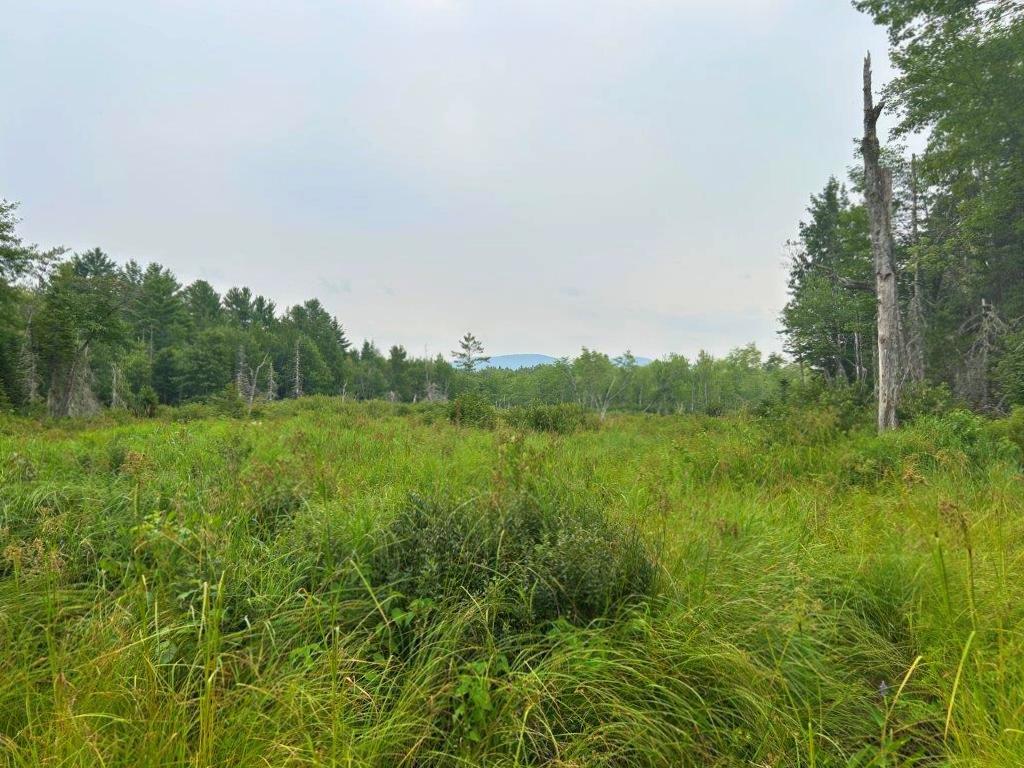 Lot 2 Kingfield Road New Vineyard, ME 04956 - Photo 16 of 20 IMG_6803