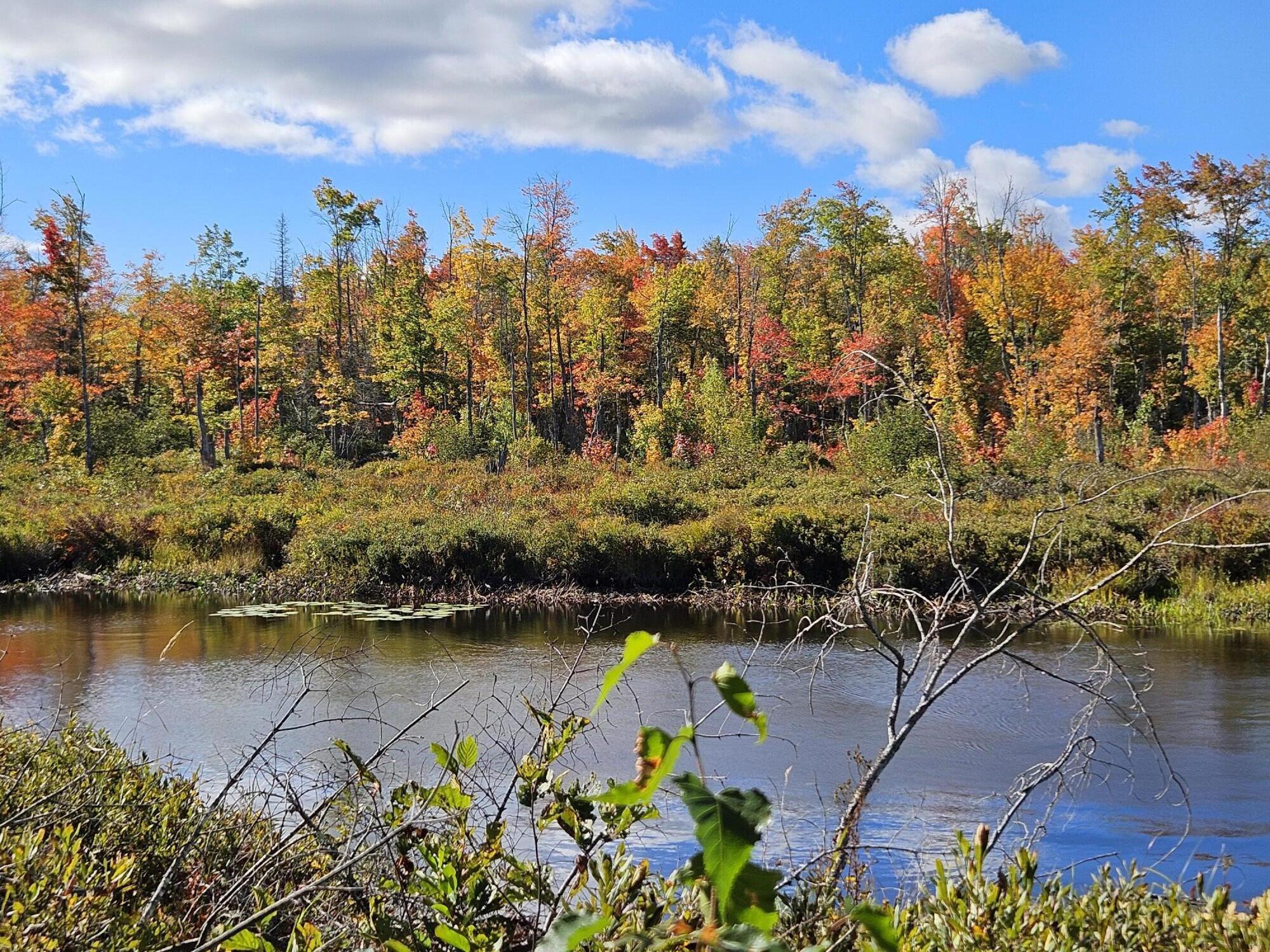 Lot 2 Kingfield Road New Vineyard, ME 04956 - Photo 20 of 20 20250919_095727