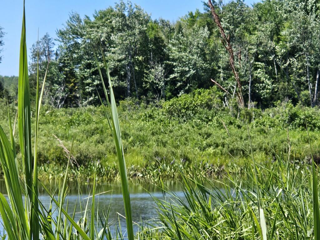 Lot 2 Kingfield Road New Vineyard, ME 04956 - Photo 2 of 20 20250718_105649