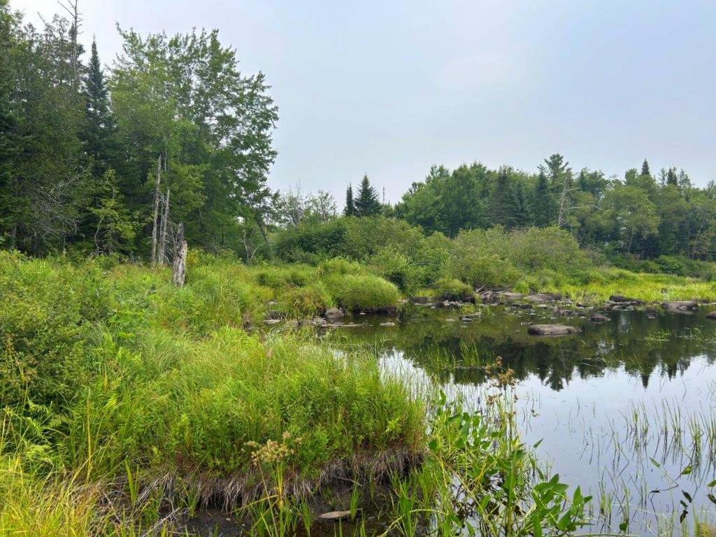 Lot 2 Kingfield Road New Vineyard, ME 04956 - Photo 3 of 20 IMG_6804