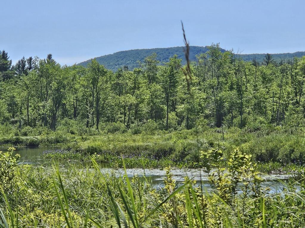 Lot 2 Kingfield Road New Vineyard, ME 04956 - Photo 4 of 20 20250718_105642