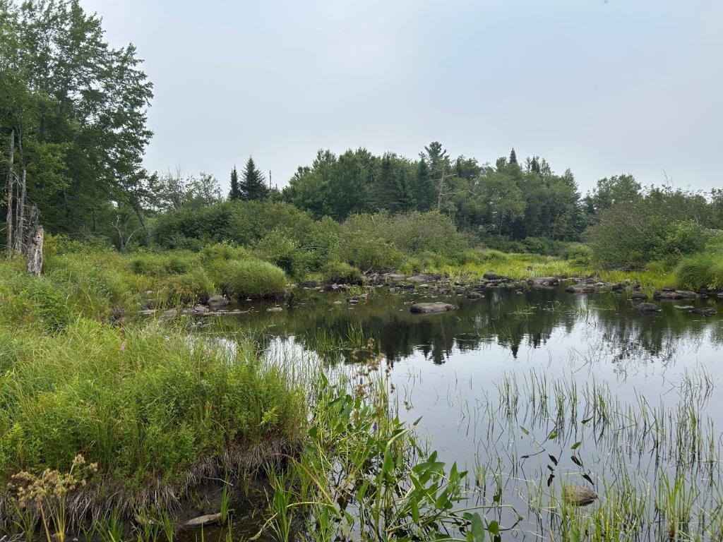 Lot 2 Kingfield Road New Vineyard, ME 04956 - Photo 6 of 20 IMG_6800
