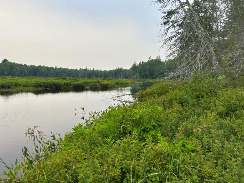 Lot 2 Kingfield Road New Vineyard, ME 04956 - Photo 7 of 20 IMG_6794