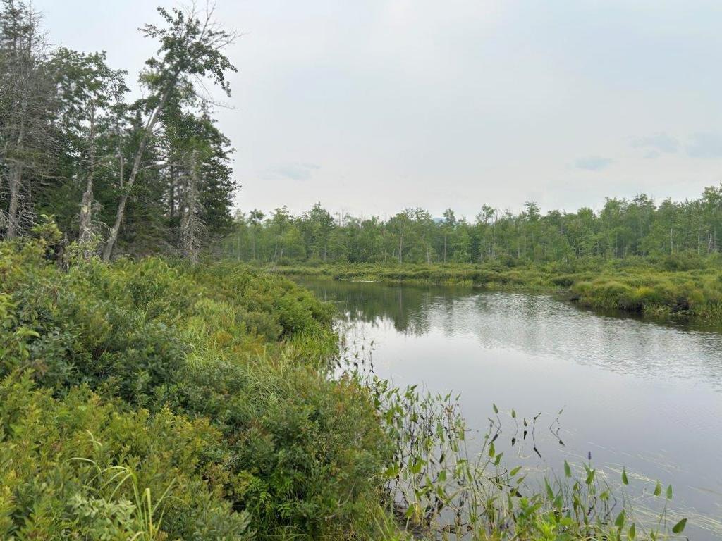 Lot 2 Kingfield Road New Vineyard, ME 04956 - Photo 8 of 20 IMG_6797