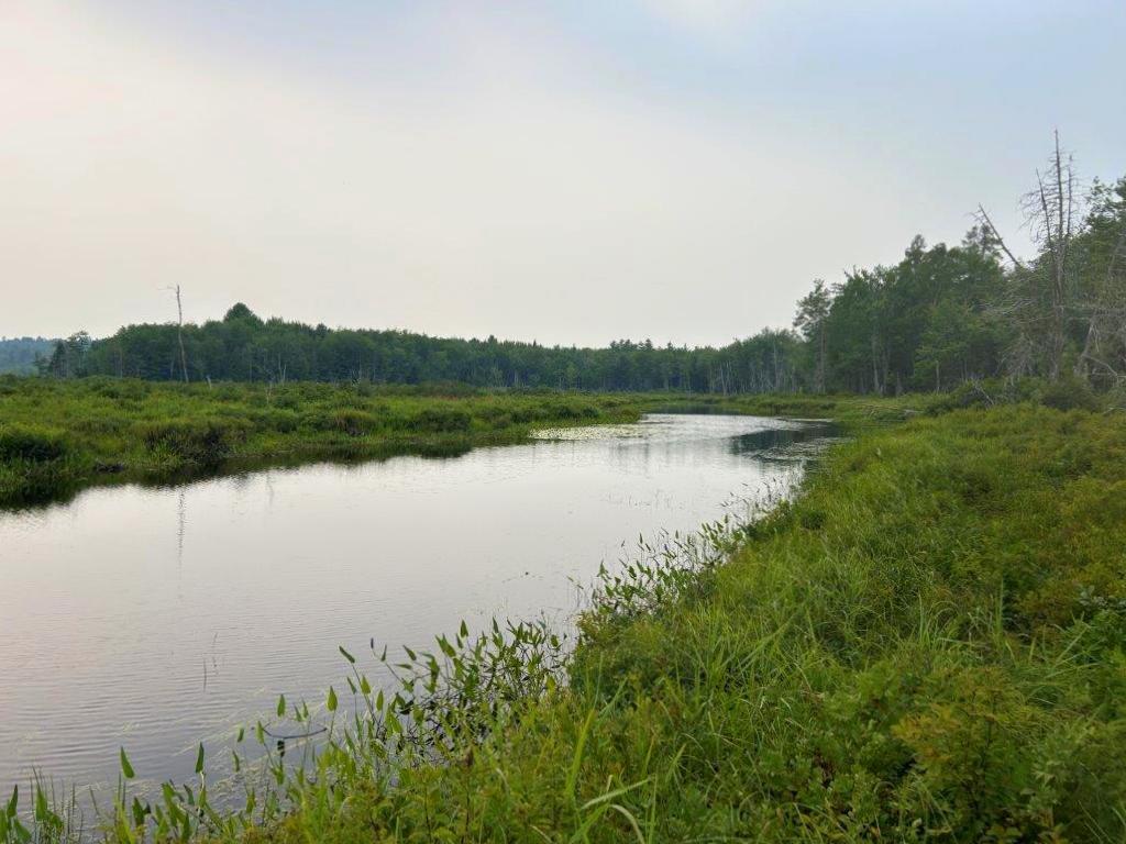 Lot 2 Kingfield Road New Vineyard, ME 04956 - Photo 9 of 20 IMG_6798