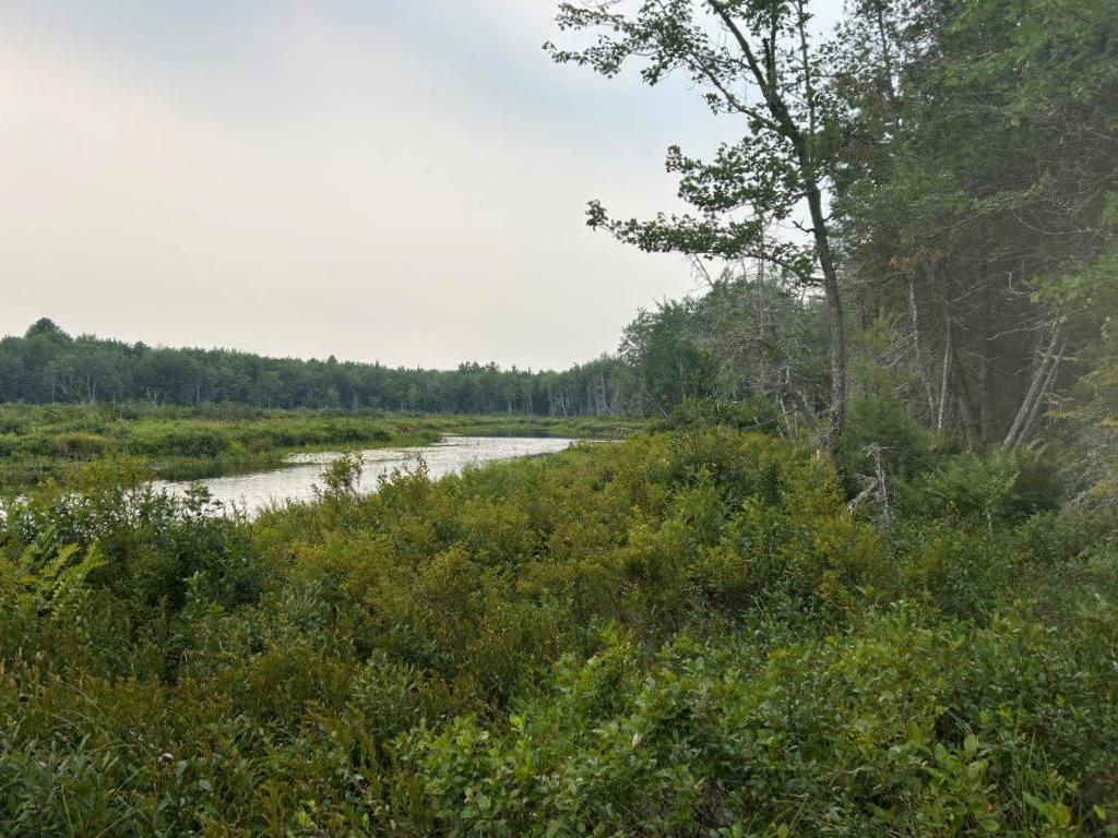 Lot 2 Kingfield Road New Vineyard, ME 04956 - Photo 10 of 20 IMG_6799