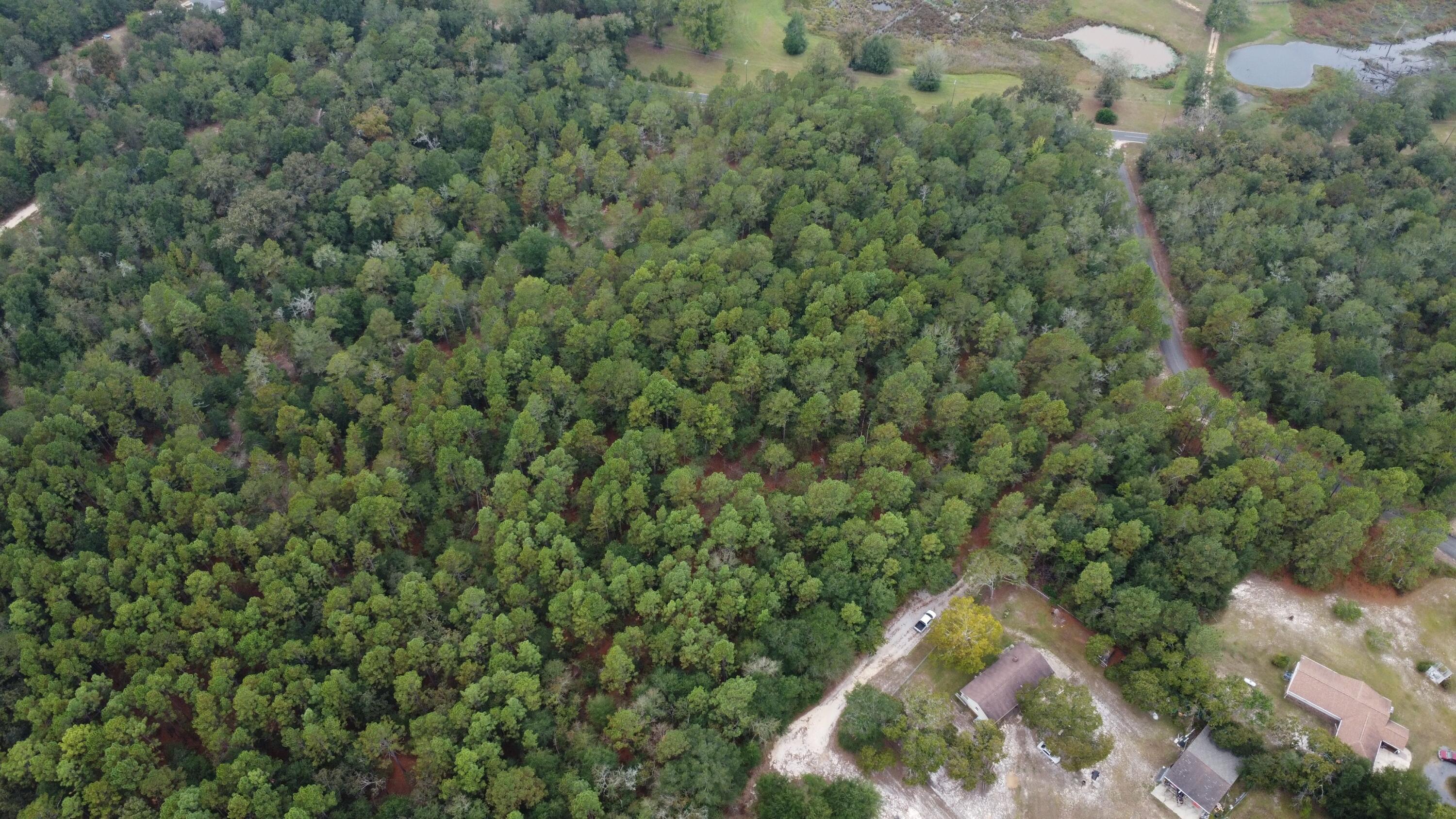 0 Holiness Church Road Wagener, SC 29164 - Photo 3 of 6