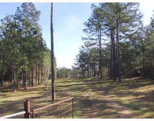 0 Spencer Road Osyka, MS 39657 - Photo 3 of 9