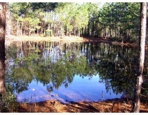 0 Spencer Road Osyka, MS 39657 - Photo 4 of 9