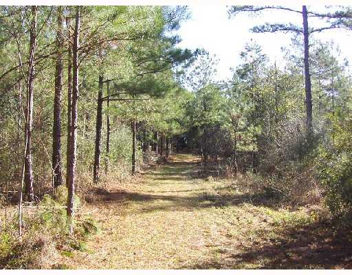 0 Spencer Road Osyka, MS 39657 - Photo 5 of 9