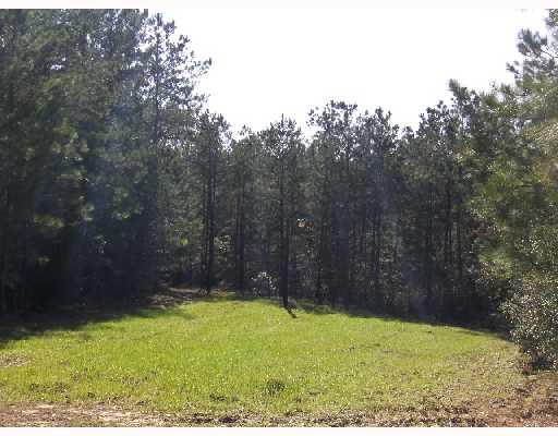 0 Spencer Road Osyka, MS 39657 - Photo 6 of 9