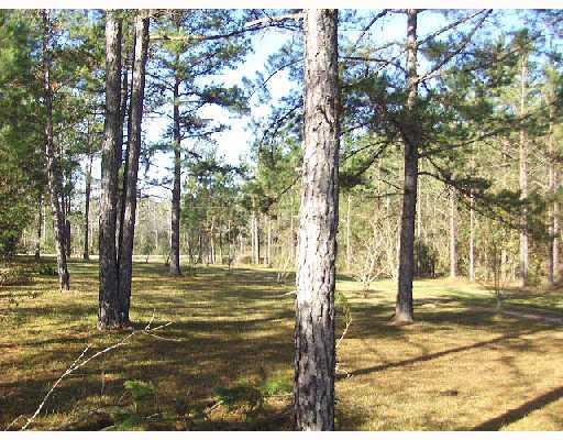 0 Spencer Road Osyka, MS 39657 - Photo 7 of 9