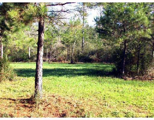 0 Spencer Road Osyka, MS 39657 - Photo 9 of 9