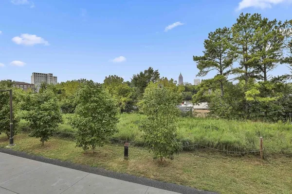 a view of a garden with a tree