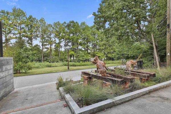 a view of a garden with a tree in a park
