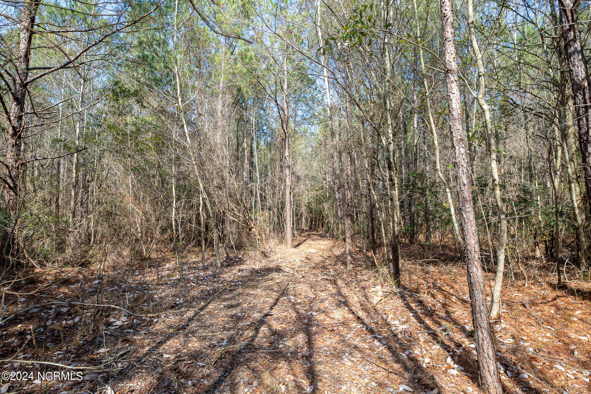 0 Andermora Road Maple Hill, NC 28454 - Photo 19 of 27 A-18